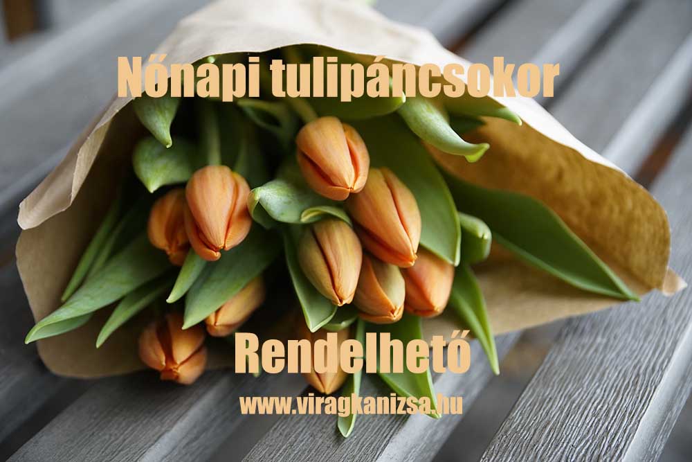 Tulipán csokor
